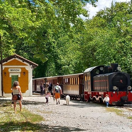 Milies Historic Chalet Pelion Miléai エクステリア 写真
