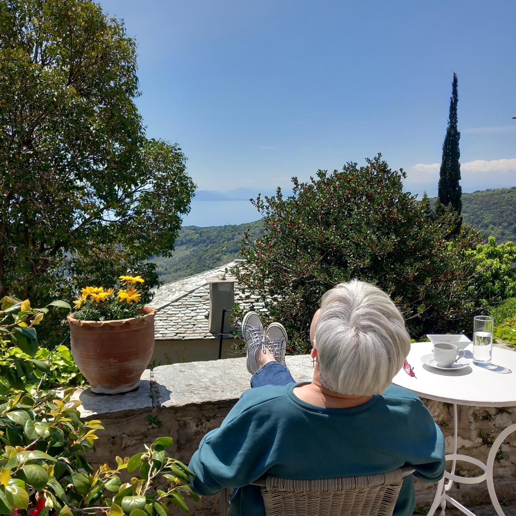 Milies Historic Chalet Pelion Miléai エクステリア 写真