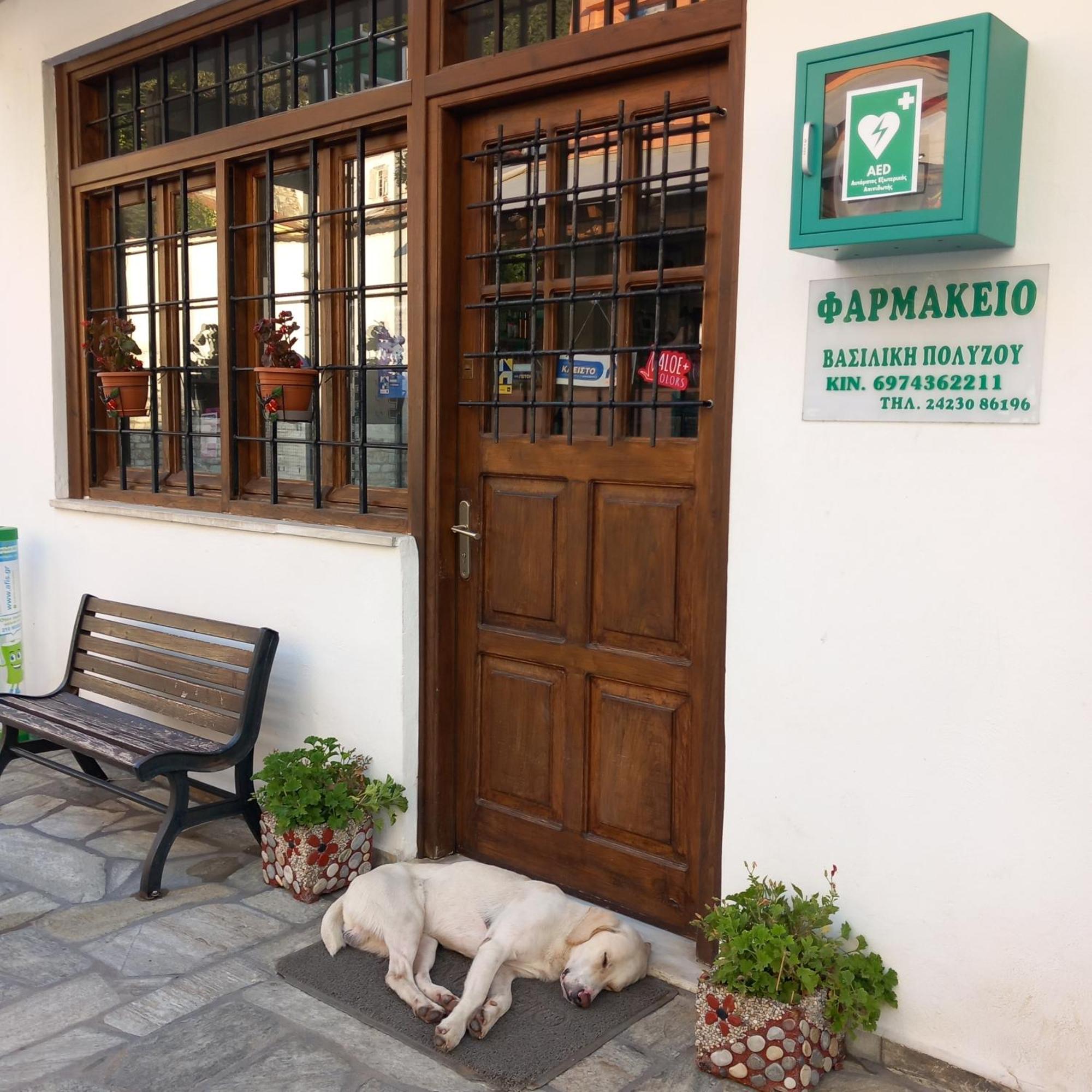 Milies Historic Chalet Pelion Miléai エクステリア 写真