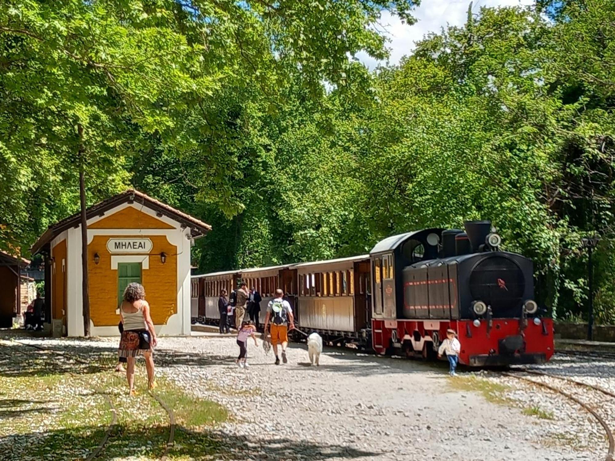 Milies Historic Chalet Pelion Miléai エクステリア 写真