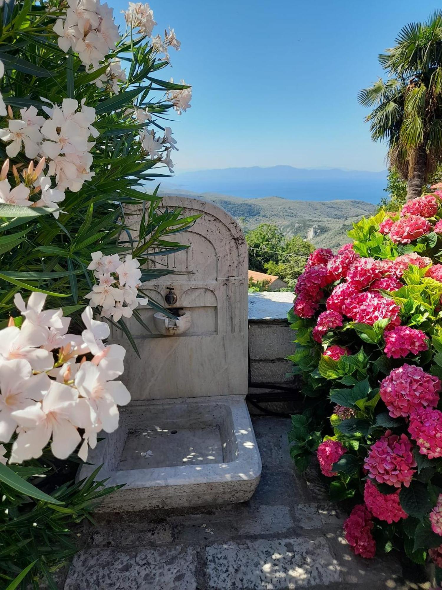Milies Historic Chalet Pelion Miléai エクステリア 写真