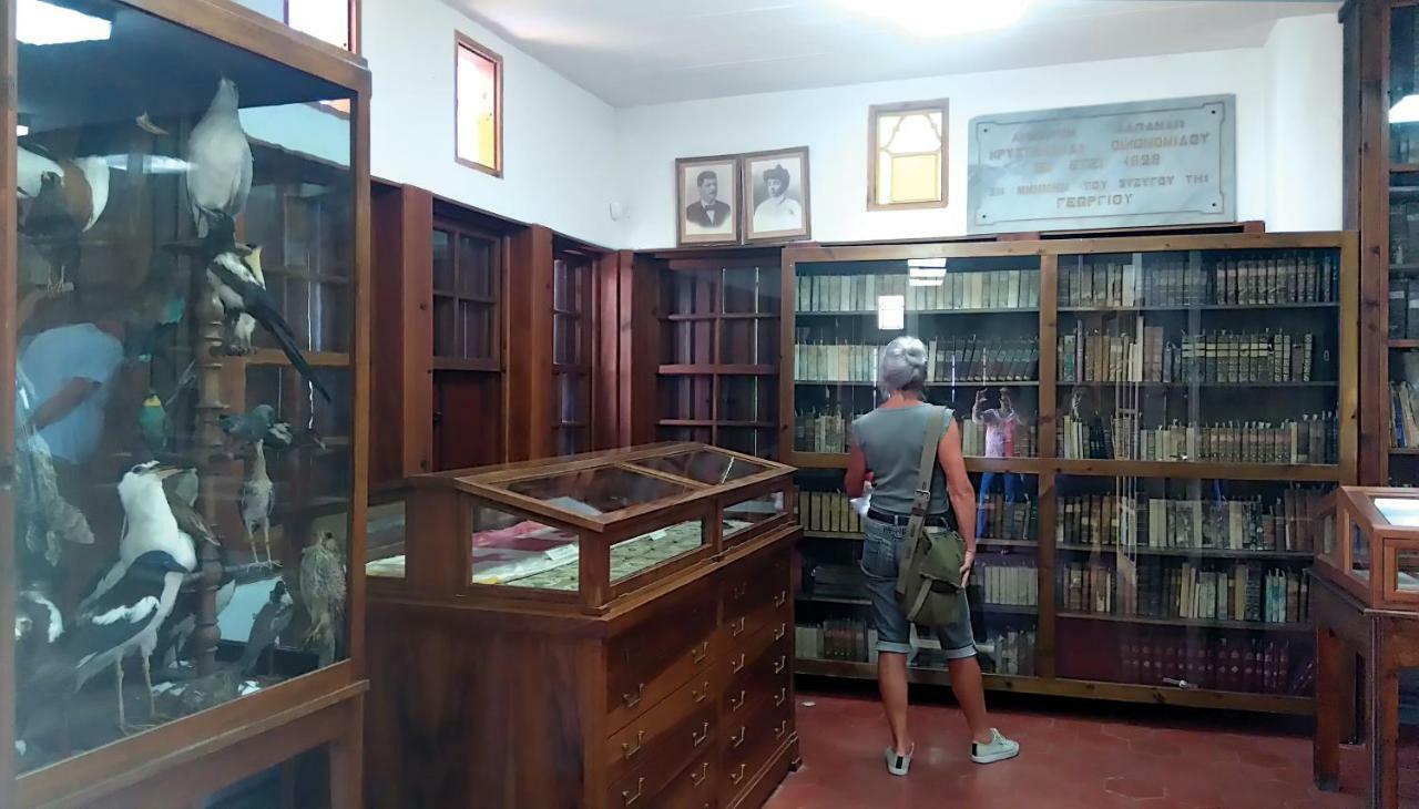 Milies Historic Chalet Pelion Miléai エクステリア 写真