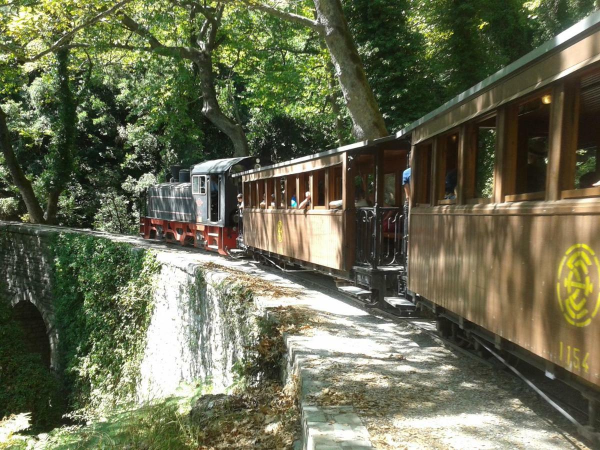 Milies Historic Chalet Pelion Miléai エクステリア 写真