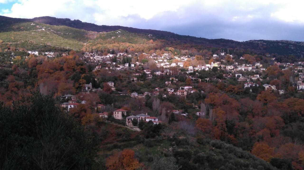 Milies Historic Chalet Pelion Miléai エクステリア 写真